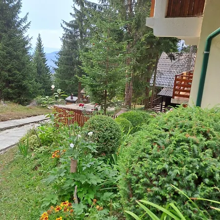 Snjezina Casa vacanze