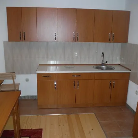 Ferienhaus Snjezina *